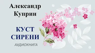 Александр Куприн Куст Сирени - Русская классика Аудиокниги Слушать Онлайн - Рассказы на Ночь для Сна