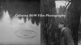 Calming B&W Film Photography in the Woods