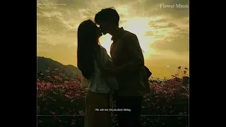 Anh Nói Yêu Em Được Không (Lofi Ver.)  | Minz Mặt Đất x Flower