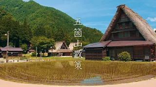 【世界遺産】五箇山の合掌造り集落（相倉・菅沼） : 【World Heritage】Thatched-roof Houses of Gokayama Village（Toyama, Japan）