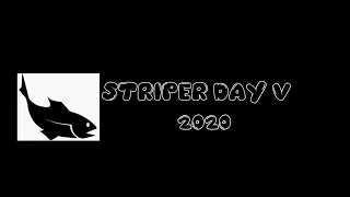 Striper Day V 2020 Long Island New York