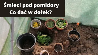 Co dać w dołek pod pomidory, żeby byle piękne i miały duży plon?Przygotowanie ziemi pod pomidory.