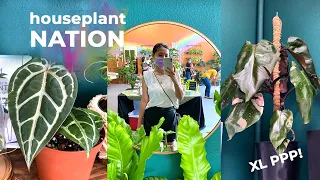 Rare Plant Shopping at Houseplant Nation | Monstera Albo, Variegated Cebu Blue | Jolene Foliage