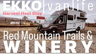 EKKO VAN | Winnebago Ekko WINTER CAMPING | TRAIL-FIRE GRILLIN’ & DISCO NIGHT | RV | VAN