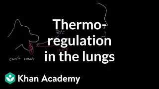 Thermoregulation in the lungs | Respiratory system physiology | NCLEX-RN | Khan Academy