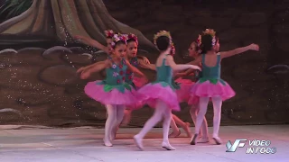 ARTE DANCE 2016 - Flores Rosas