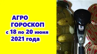 Агрогороскоп с 18 по 20 июня 2021 года