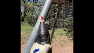 Tip to Keep Raccoons and Squirrels out of Your Feeder