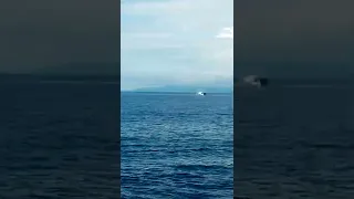 7 ANG PATAY SA NASUNOG NA MV MERCRAFT SA REAL QUEZON