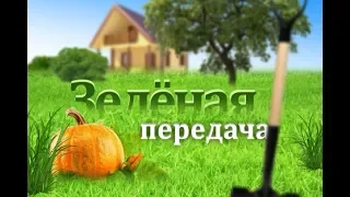 2018 11 27 Зелёная передача HD