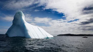 Shrinking icebergs impacting tourism in Newfoundland