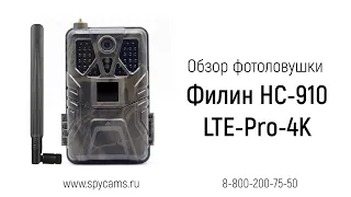 Обзор уличной 4К фотоловушки для охоты Suntek Филин HC-910 LTE-Pro-4K