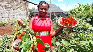 A peaceful life in the countryside// Harvesting and cooking vegetables in the village