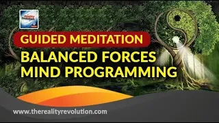 GUIDED MEDITATION: BALANCED FORCES MIND PROGRAMMING 111HZ 136.1HZ 333HZ 372HZ 396HZ 888HZ