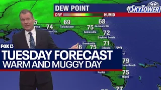Tampa weather May 28, 2024 | warm and muggy Tuesday in store