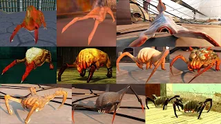 HALF-LIFE ALL HEADCRABS SHOWCASE