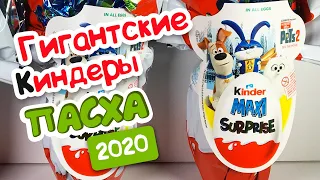 Новинка 2020! PETS 2 ОГРОМНЫЙ Киндер Сюрприз ТАЙНАЯ ЖИЗНЬ ДОМАШНИХ ЖИВОТНЫХ 2