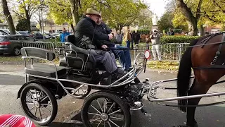 St Hubertusviering 2017 "Zegening van dieren" kerk Schaffen