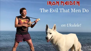 Iron Maiden - The Evil That Men Do on Ukulele! | Acoustic Cover by Thomas Zwijsen