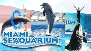 Miami Seaquarium | Miami’s Best Aquarium 2022 |