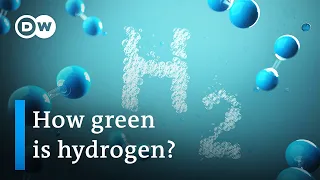 EU at loggerheads over hydrogen classification | DW News