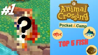 My TOP 5 RAREST Fish Caught in Animal Crossing Pocket Camp! 🐟