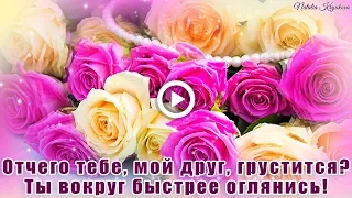 ОТЧЕГО ТЕБЕ, МОЙ ДРУГ, ГРУСТИТСЯ? Музыкальная Открытка для друзей.