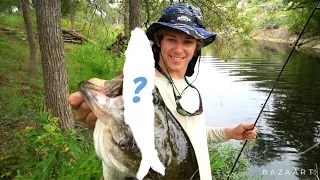 Catching a GIANT BASS on the Market's HOTTEST Swimbait