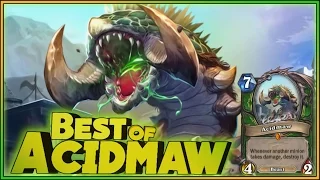 Hearthstone - Best of Acidmaw - Funny and lucky Rng Moments