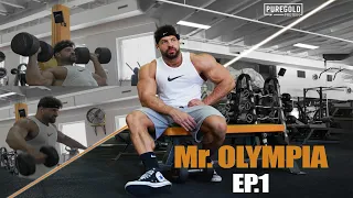 Mr Olympia ep. 1. - váll&tricepsz