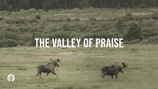 The Valley of Praise | Audio Reading | Our Daily Bread Devotional | April 19, 2024