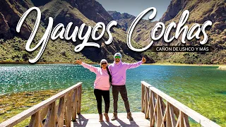 RESERVA PAISAJÍSTICA NOR YAUYOS COCHAS | FULL DAY🍀😍