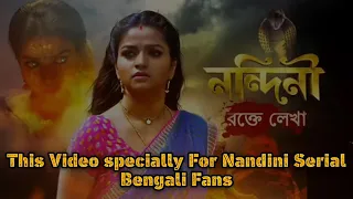 Nondini epicode -368 ll 23 nov2020ll sun banglall tv serial