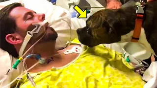 Dying Man Says Goodbye To His Sad Dog. How The Dog Reacted Will Leave You in Tears!