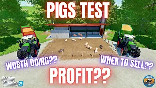 PIGS TEST - Farming Simulator 22