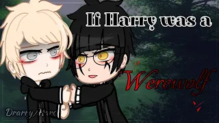 What if Harry was a Werewolf | Drarry Love Story | GCMM | Full Version | Gacha Club