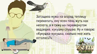 🏠Сборник Новых,Смешных До Слёз Жизненных Историй,Для Хорошего Настроения На Весь День!