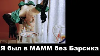 Я был в МАММ без Барсика