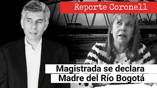 Magistrada que se declara madre del río Bogotá, denunciada por MinAmbiente designada