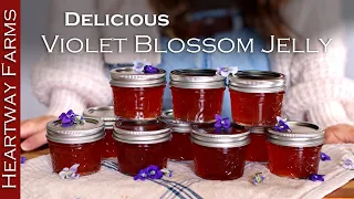 Making Jelly Out Of Wild Flowers! How-to make violet blossom jelly!