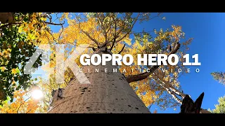 GoPro Hero 11 Cinematic Video Test - Bishop Fall Colors 2022