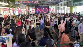 [KPOP IN PUBLIC💟] 블랙핑크 - 'PINK VENOM' 랜덤 댄스