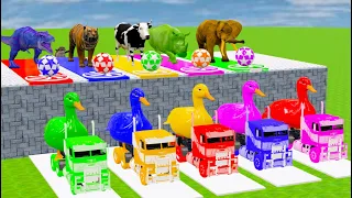 5 Gaint Duck, Cow, Elephant, Tiger, Gorilla, Dinosaur, Paint Animals Transfiguration Funny Animal