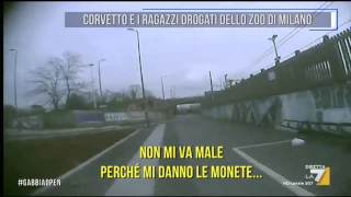 Corvetto e i ragazzi drogati dello zoo di Milano