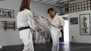 variations on kicking to the front - mae geri