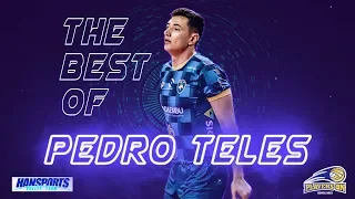 The best of Pedro Teles (Setter/Levantador) 2019/2020 - PLAYERS ON VOLLEYBALL