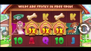 Wow 😮 Never Seen That Before MASSIVE Win The Dog House Megaways Slot 🔥 Mega Casino Win Slots