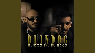 Blindog