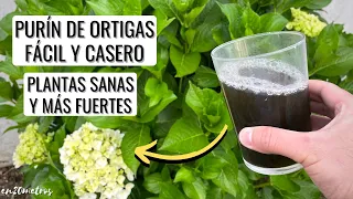 Haz PURÍN DE ORTIGAS de forma muy fácil: fertilizante, insecticida y fungicida casero || en20metros