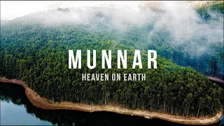 Munnar, Kerala | India | Mavic Mini Cinematic Travel Film